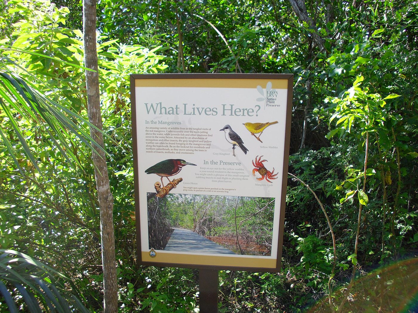 Interpretive sign reading What Lives Here at the Leon Levy Native Plant Preserve