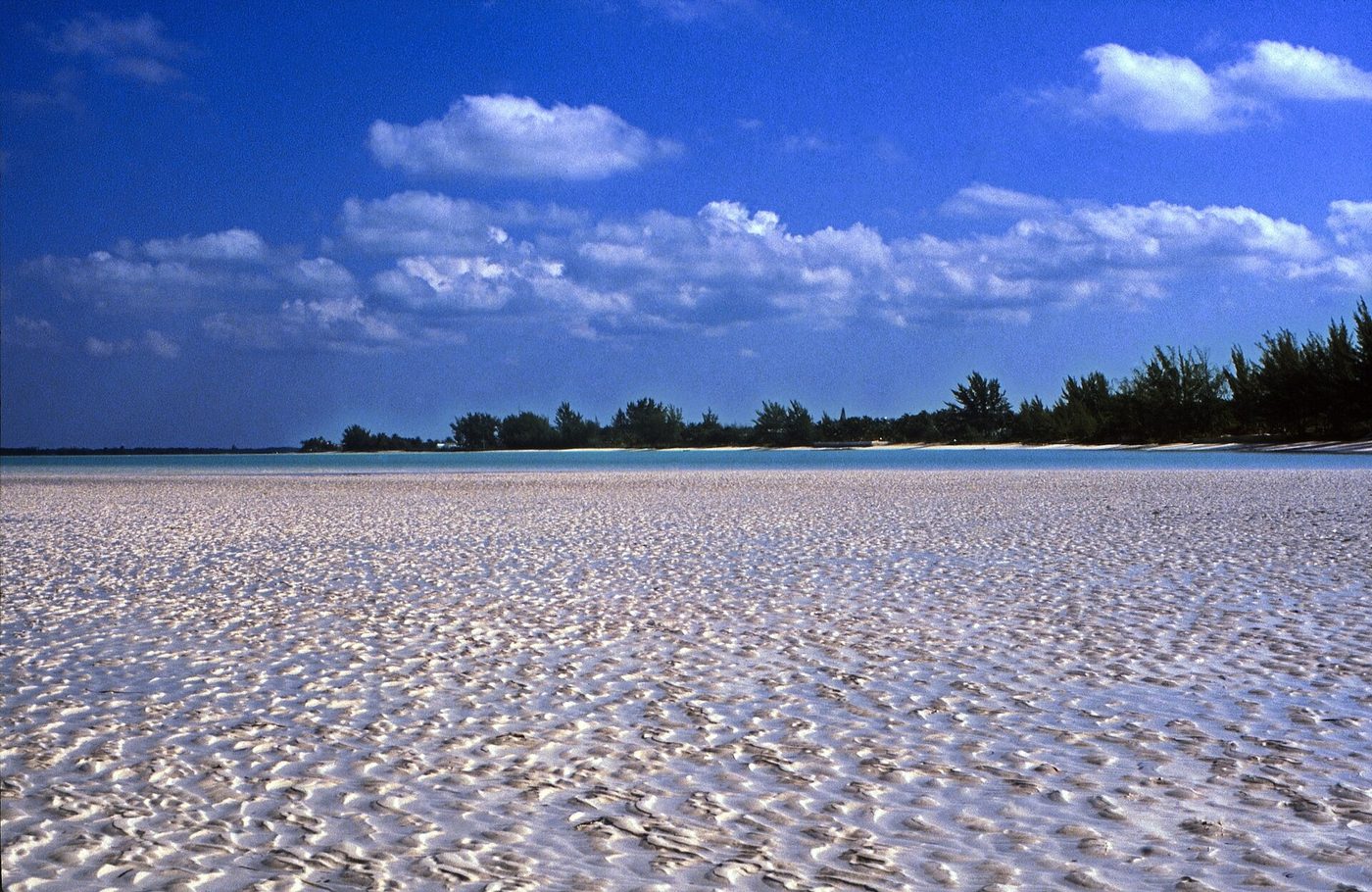 White sandbar and treeline at St George's Cay, Spanish Wells